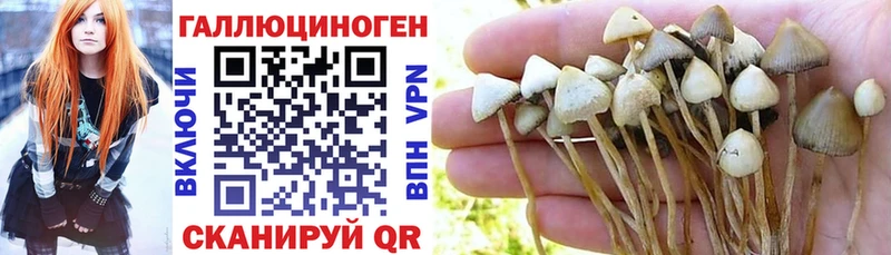 Галлюциногенные грибы Magic Shrooms Елабуга