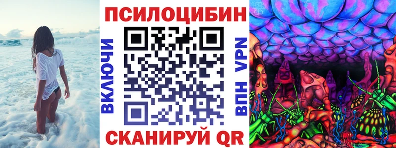 Галлюциногенные грибы Magic Shrooms  продажа наркотиков  Елабуга 
