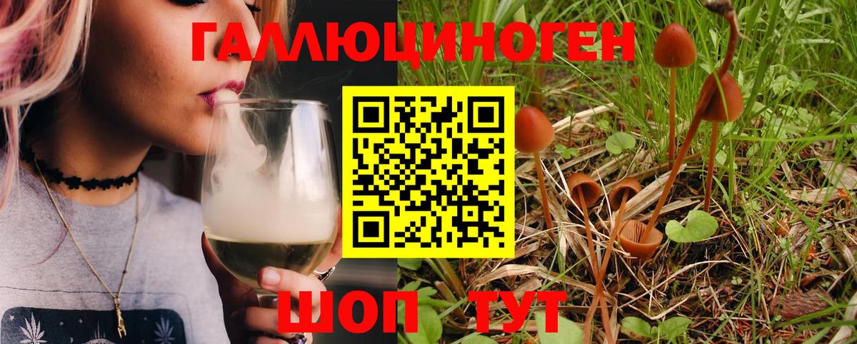 Елабуга  Галлюциногенные грибы Psilocybe  Вход с VPN 