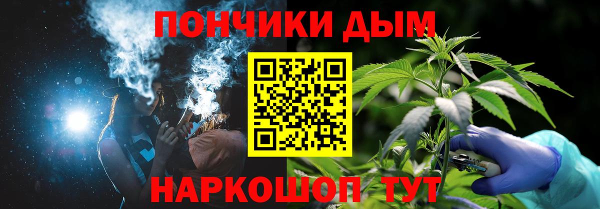Бошки Шишки планчик Елабуга